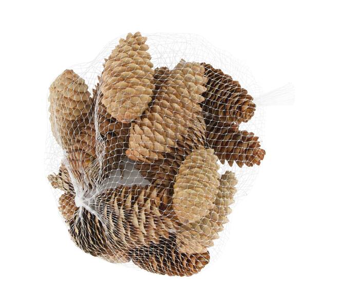 Pinecone 150gr nature 12x12x5cm