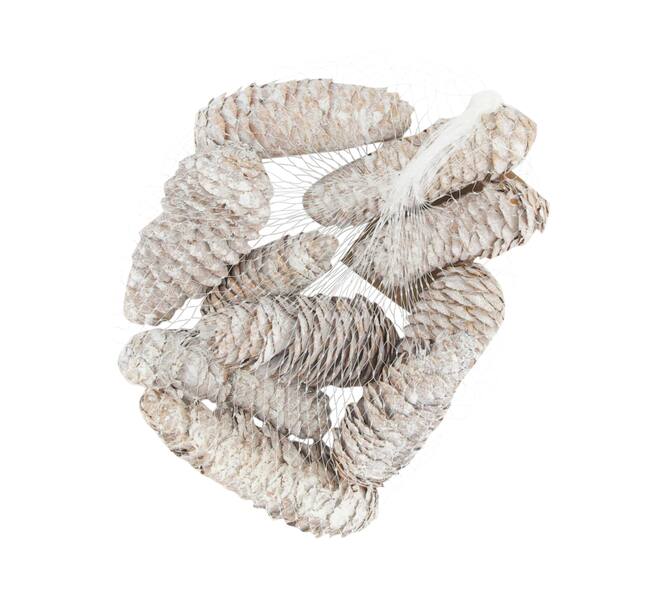 Pinecone 150gr nature 12x12x5cm