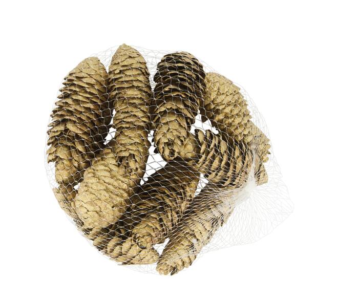 Pinecone 150gr nature 12x12x5cm