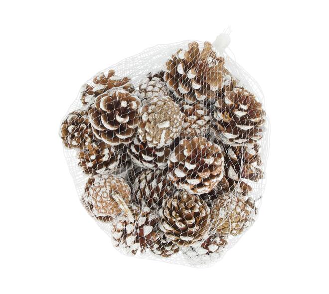 Pinecone 200gr nature 13x13x9cm - White