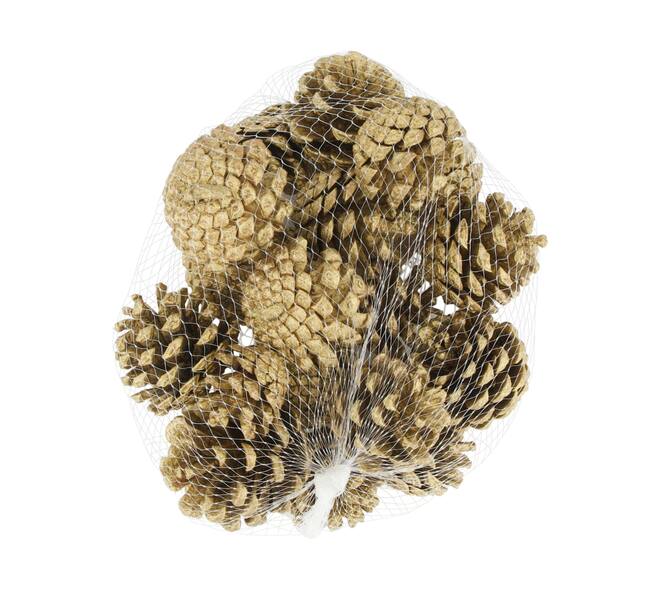 Pinecone 200gr nature 13x13x9cm - Gold
