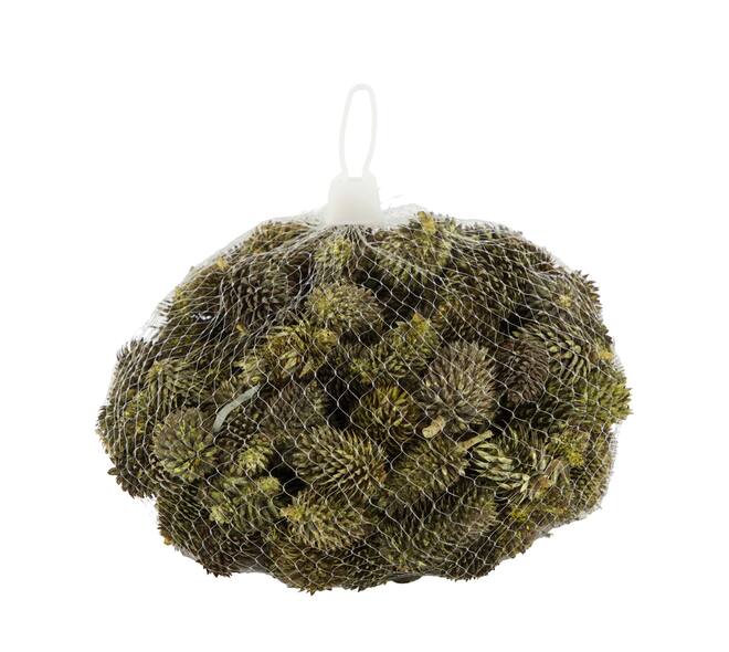 Pinecone 150gr nature 12x12x10cm