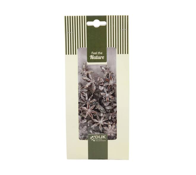 Star anise nature 10x5x22cm 50gr - White