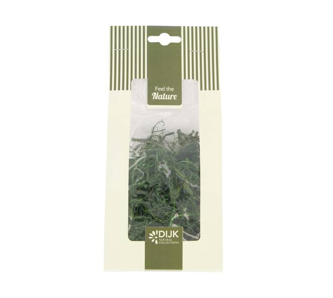 Moss curly nature 10x5x21cm 25gr