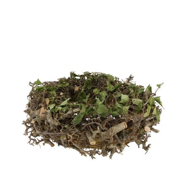 Wreath bonsai nature 45x12x45cm