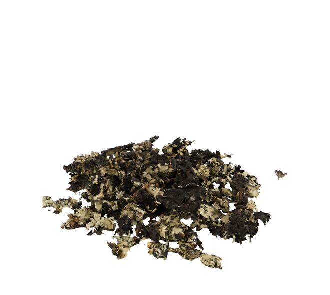 Black moss 250gr - Natural