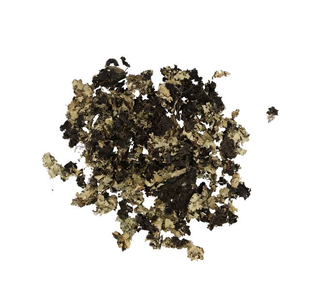 Black moss 250gr - Natural