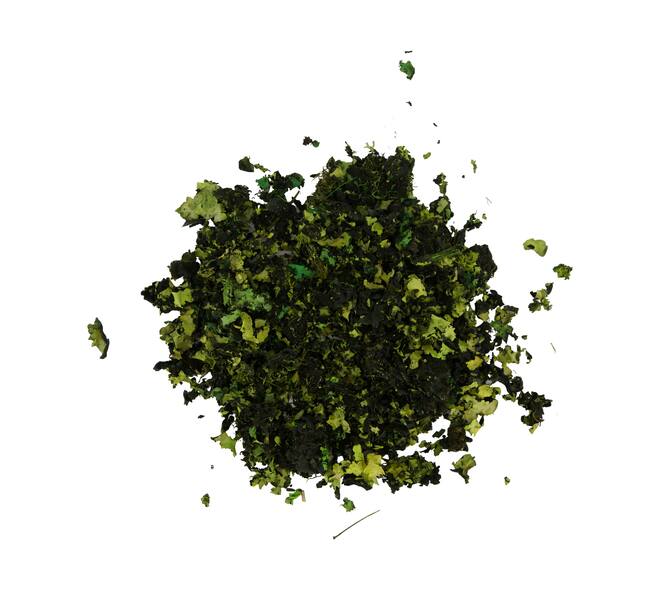 Black moss 250gr - Green