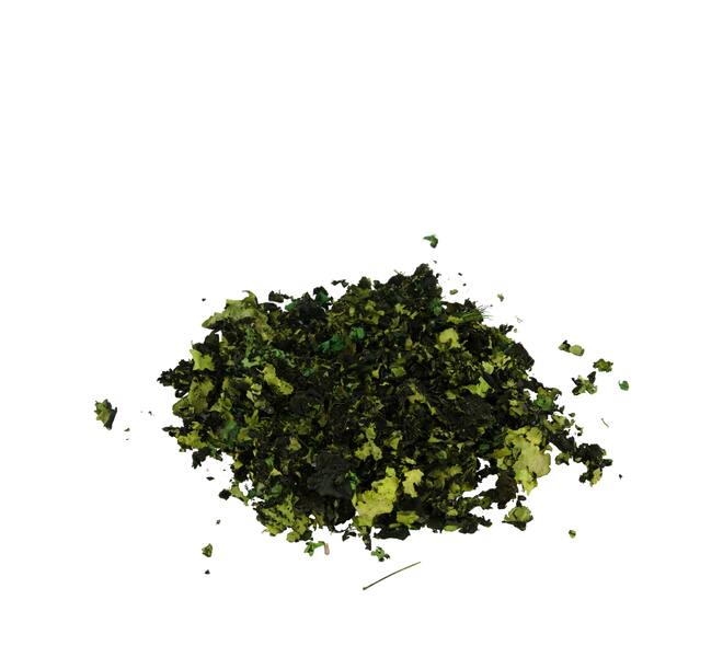 Black moss 250gr - Green
