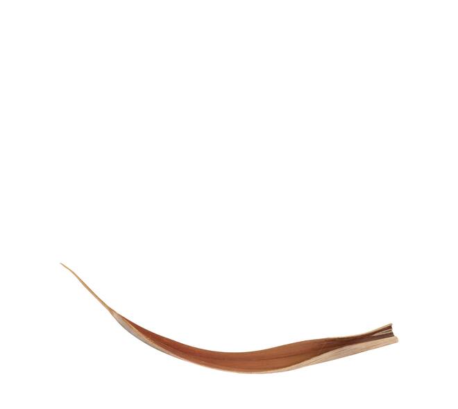 Coco giant 140cm - Natural