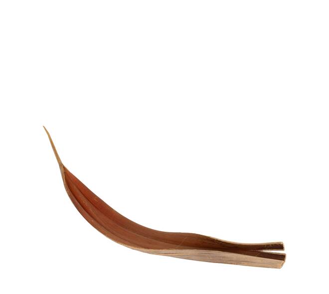 Coco giant 140cm - Natural