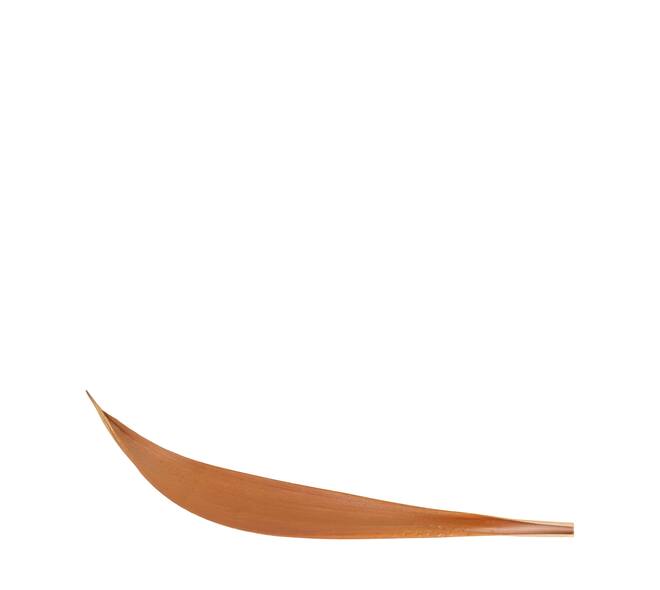 Coco giant 60-80cm