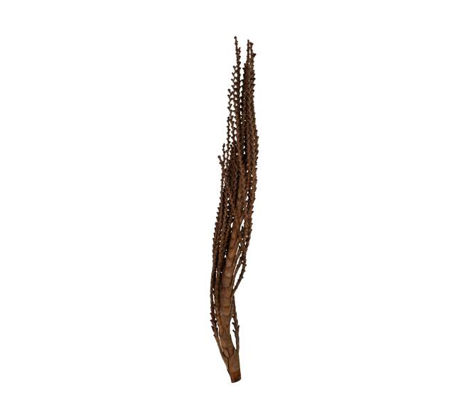 Galho Buriti 150cm 1pc
