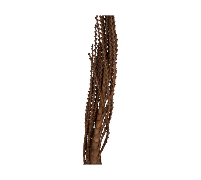 Galho Buriti 150cm 1pc