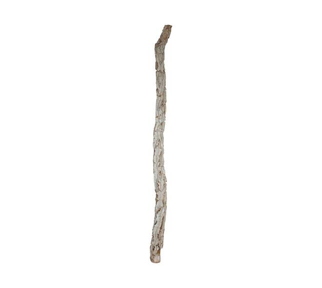 Galho estrela 200cm - Natural