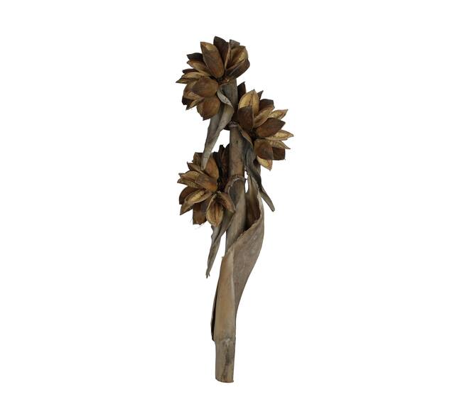 Sororoca 3 flowers nature 76x25x20cm - Natural