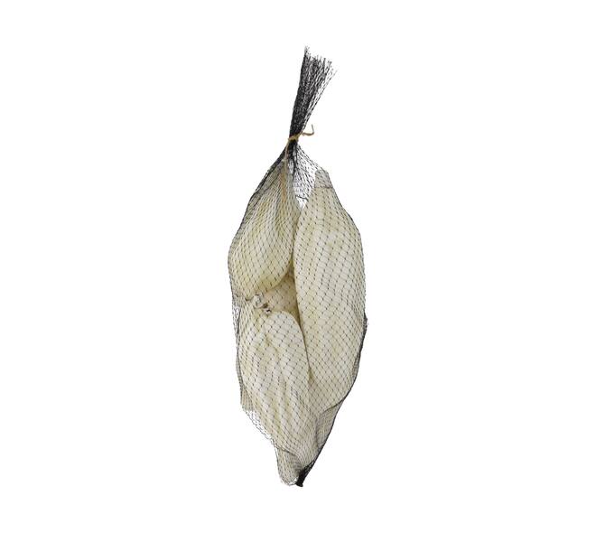 Baobab big 12-20cm 6pc - White