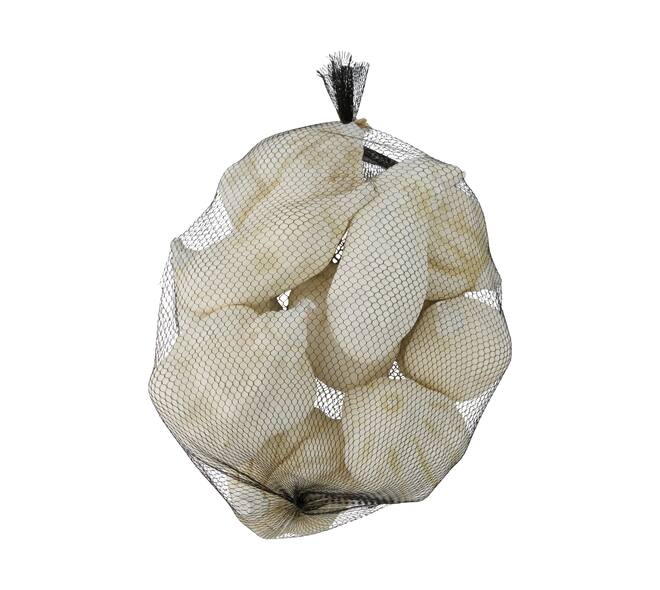 Baobab medium 8-12cm 10pc - White