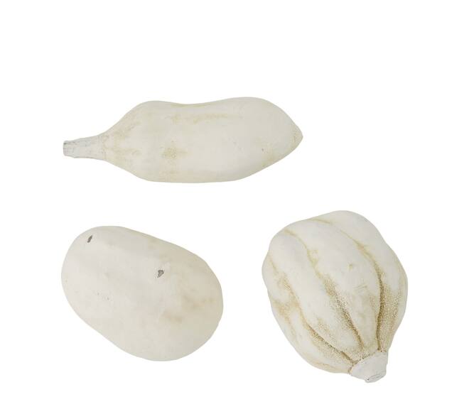 Baobab medium 8-12cm 10pc - White