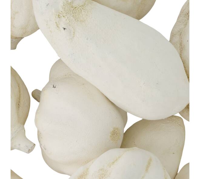 Baobab medium 8-12cm 10pc - White