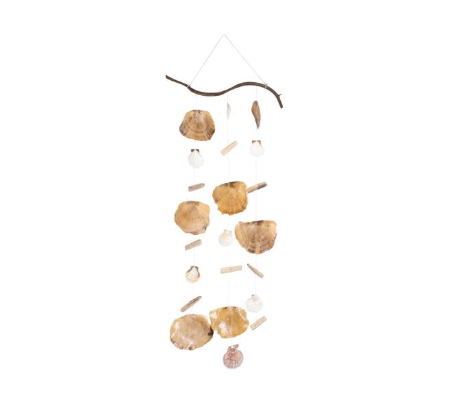 Hanger nature with shells 38x2x80cm