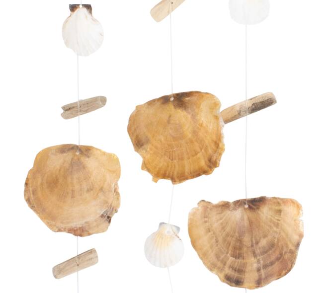 Hanger nature with shells 38x2x80cm