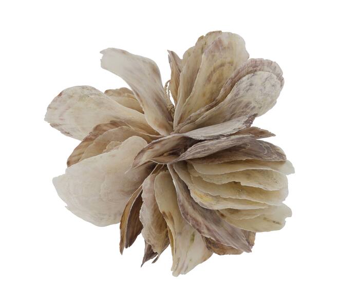 Ball placuna nature 24x24x24cm