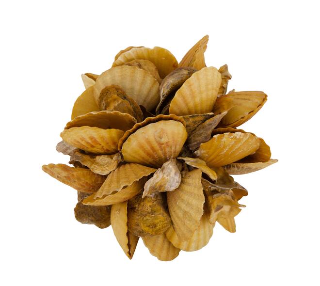 Ball shell mix nature 15x15x15cm - Orange