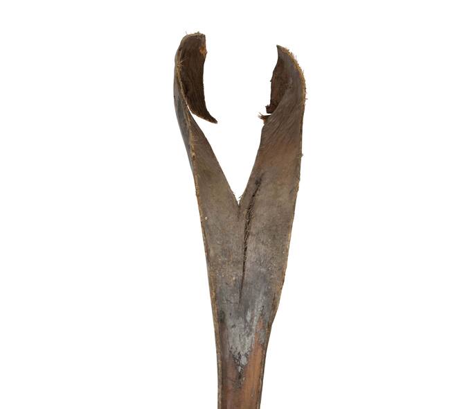 Palmsing 150-180cm - Natural