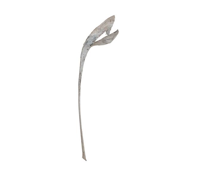 Palmsing 150-180cm