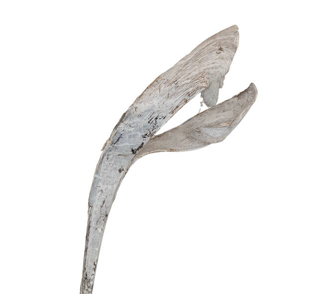 Palmsing 150-180cm