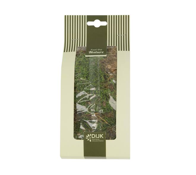 Moss flat 50gr nature 10x7x22cm