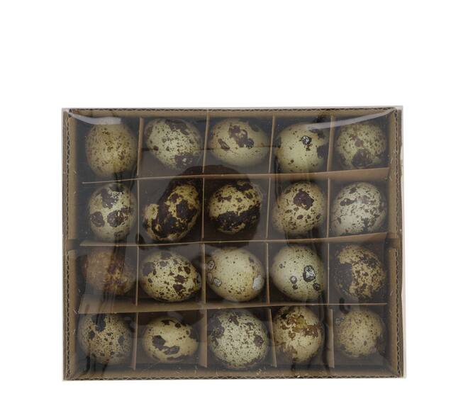 Egg quail nature 15x12x9.5cm 60pc