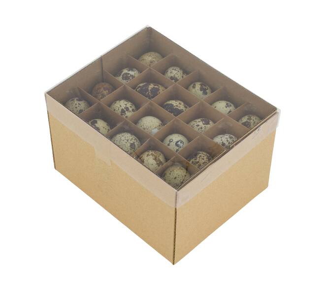 Egg quail nature 15x12x9.5cm 60pc