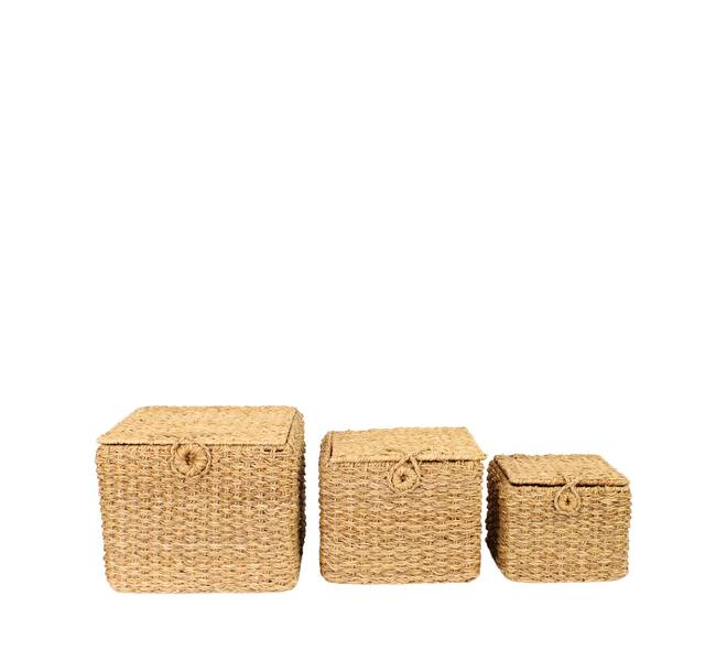 Basket square with lid seagrass 38x38x32cm S/3