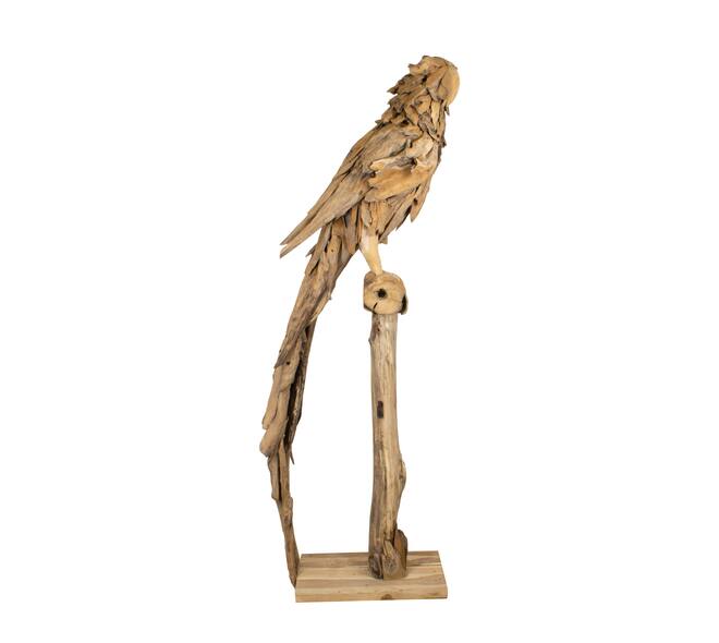 Statue parrot erosion wood on stand 55x68x230cm