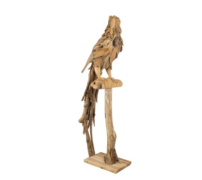 Statue parrot erosion wood on stand 55x68x230cm