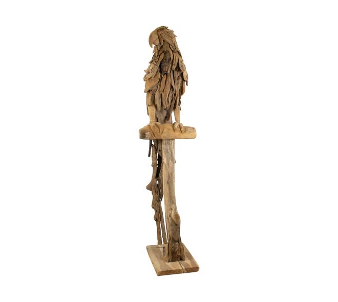 Statue parrot erosion wood on stand 55x68x230cm