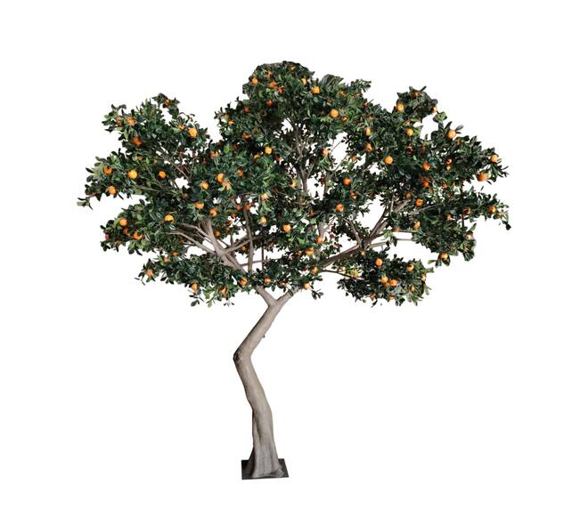 Tree mandarin artificial 300x300x380cm KD - Green