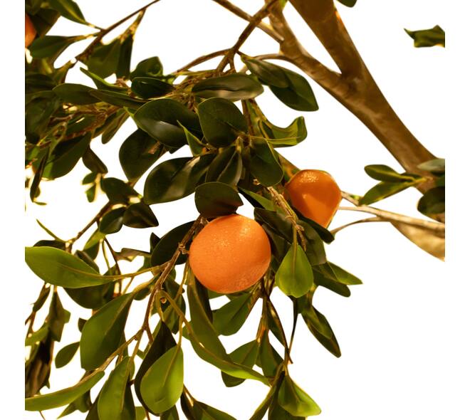 Tree mandarin artificial 300x300x380cm KD - Green