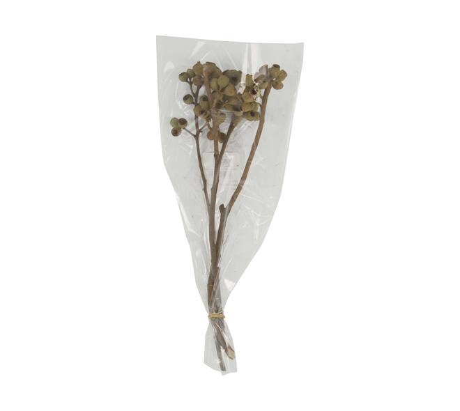Branch ambernut nature 35x10x6cm
