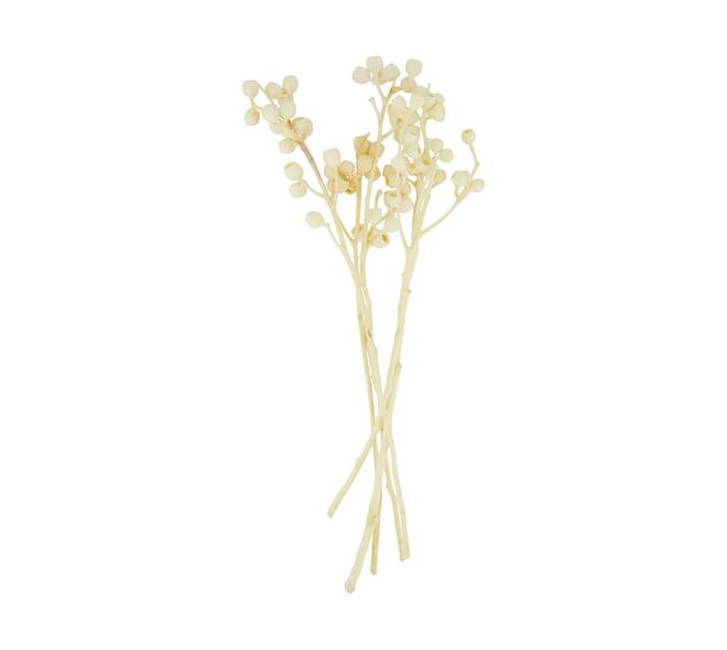 Branch ambernut nature 35x15x8cm