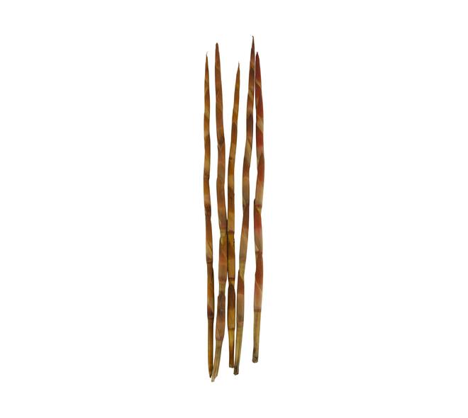 Assegaai 80x10x3cm 5pc - Natural