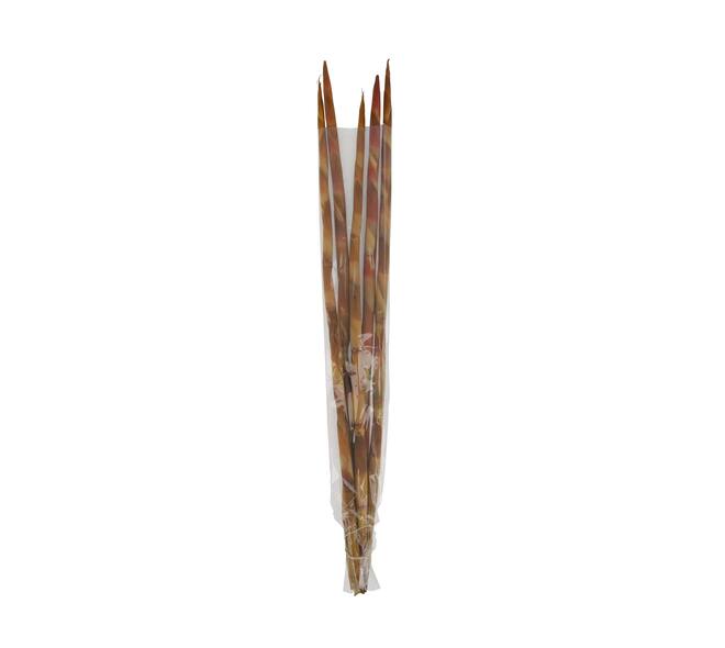 Assegaai 80x10x3cm 5pc - Natural