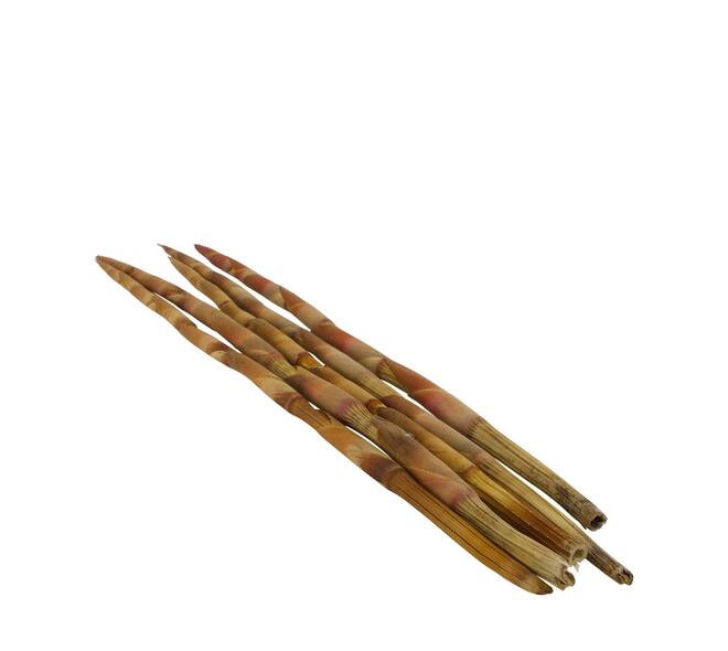 Assegaai 80x10x3cm 5pc - Natural