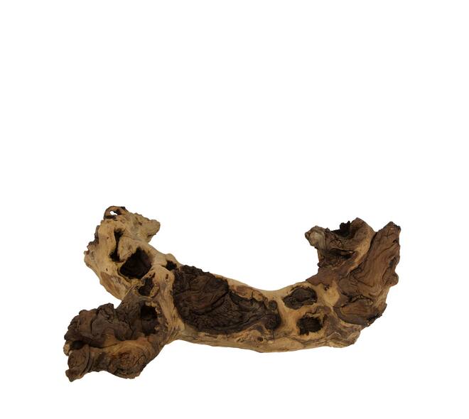 Driftwood 30x15x10cm 1kg