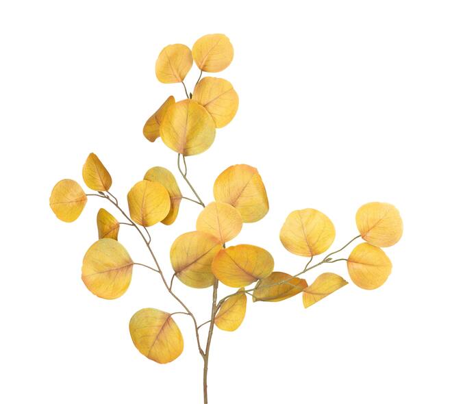Branch eucalyptus artificial 82x35x5cm - Yellow