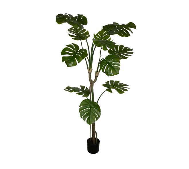 Plant monstera artificial 200x90x30cm - Green