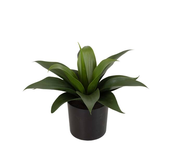 Plant agave artificial 31x34x34cm