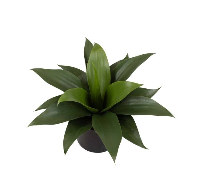 Plant agave artificial 31x34x34cm